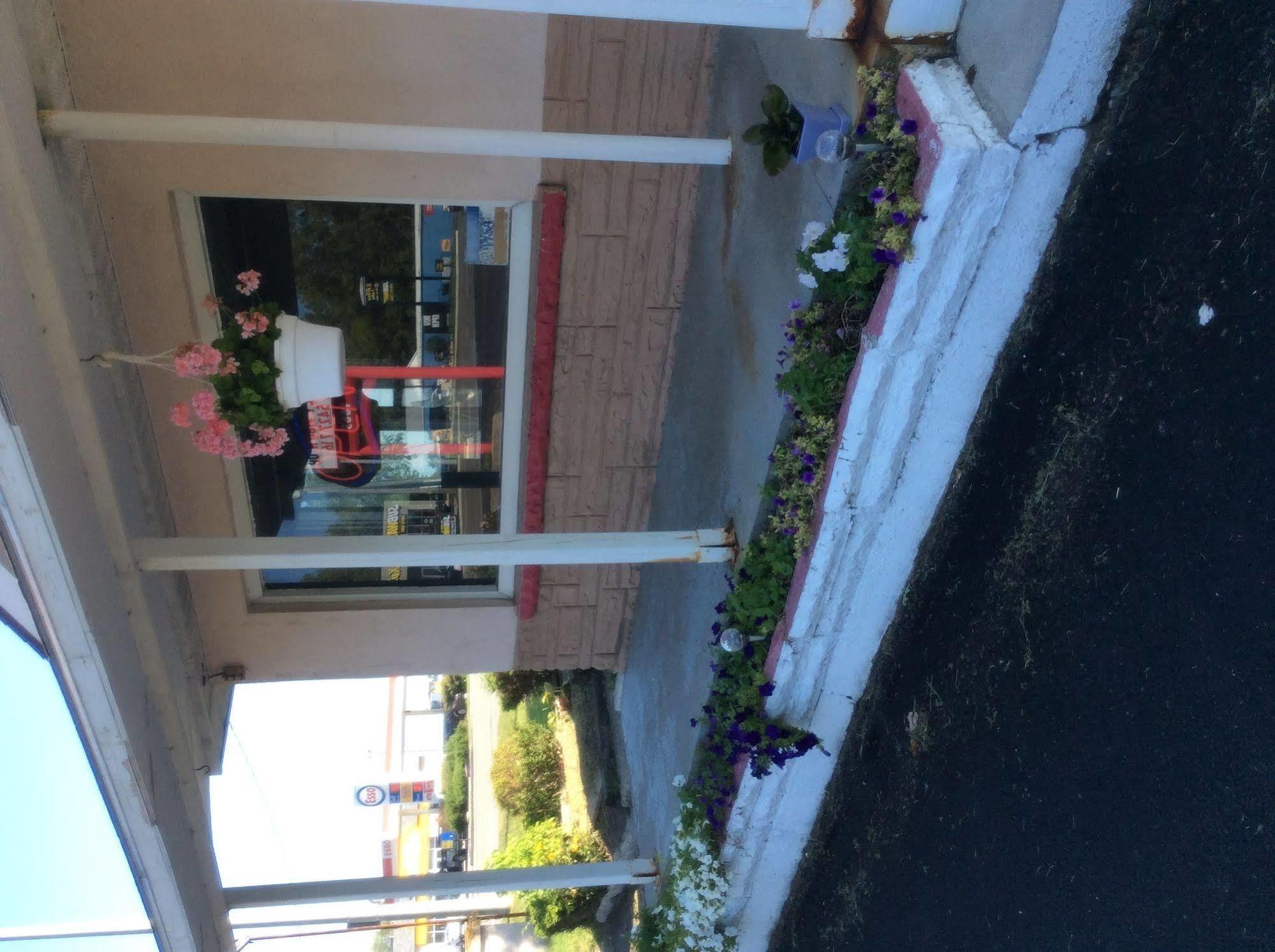 Palace Inn Motel Sarnia Exteriör bild